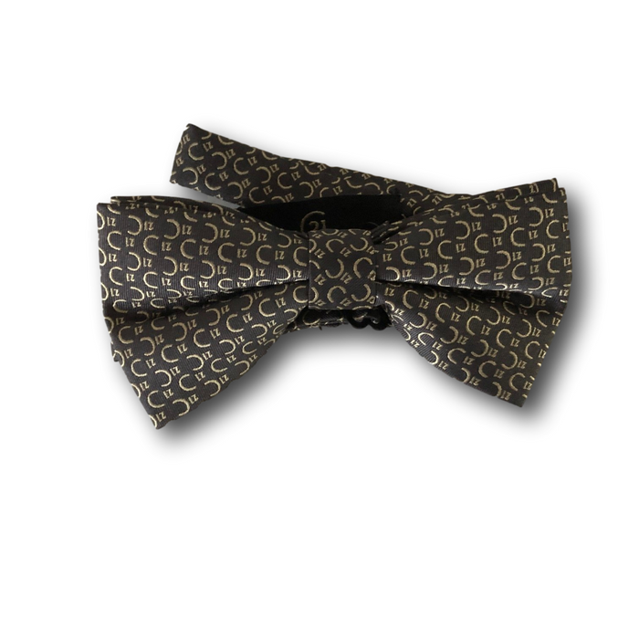 Charcoal C21 Pattern Bow Tie